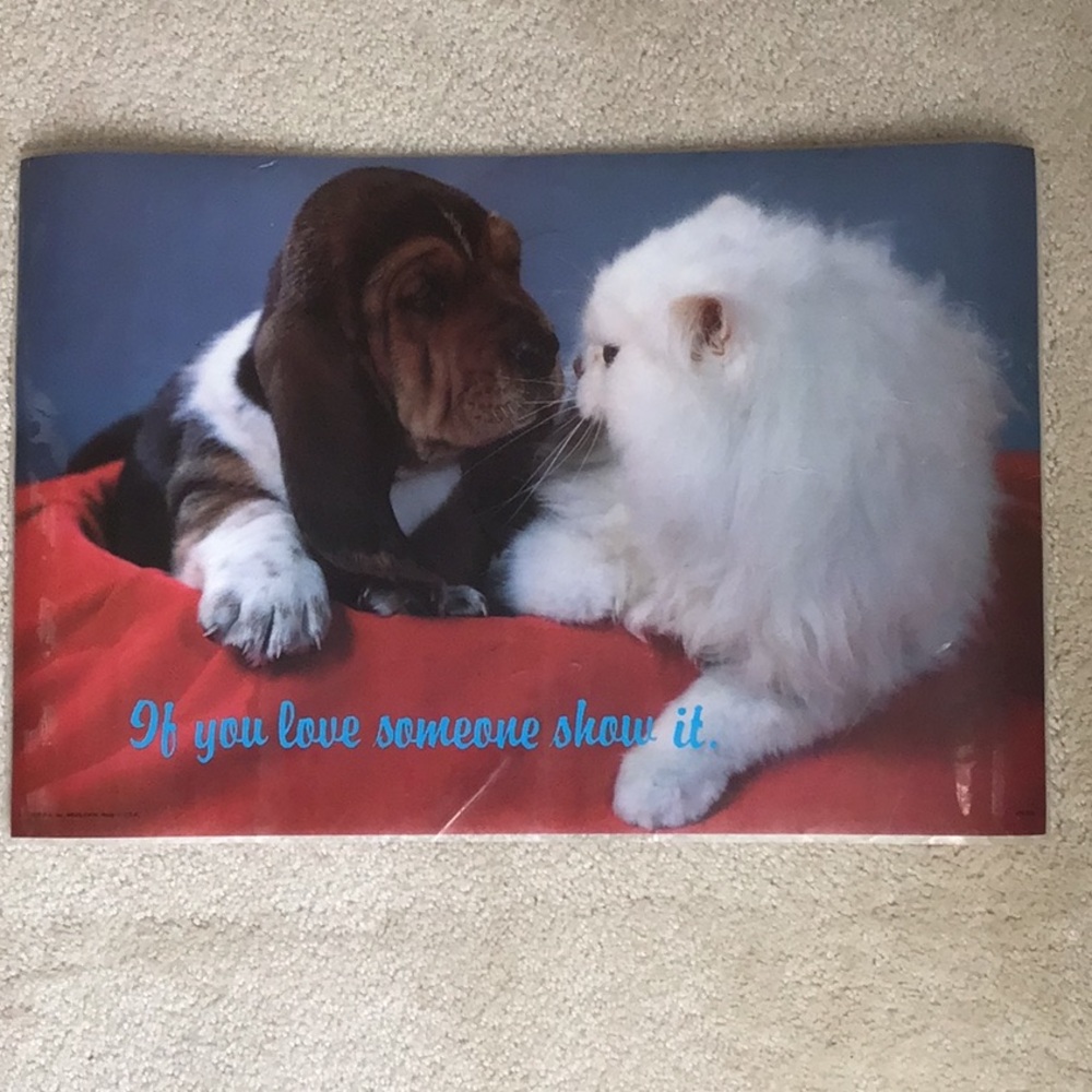 Vintage Laminated Poster, “If you love someone show it” Cat and Dog, 1979